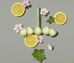 Marcel's Green Soap Toiletblok Geranium & Citroen - 55 Gram -Bol Schoonmaak Winkel 1200x1023