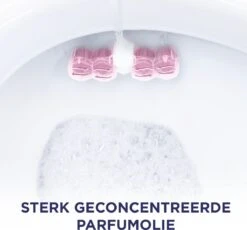 Glorix Aroma Lux Pink Jasmine & Elderflower Toiletblokken - 9 Stuks - Voordeelverpakking -Bol Schoonmaak Winkel 1200x1118 4