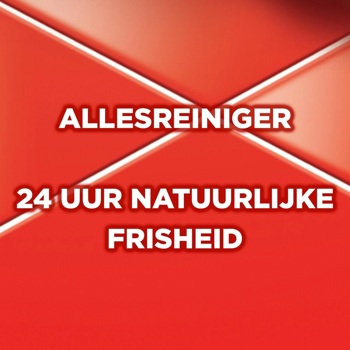 Ajax Allesreiniger Fête des Fleur Rode Bloem 8 x 1L - Voordeelverpakking Ajax® Ajax Allesreiniger Fête Des Fleur Rode Bloem 8 X 1L - Voordeelverpakking -Bol Schoonmaak Winkel 1200x1200 271