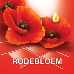 Ajax® Ajax Allesreiniger Fête Des Fleur Rode Bloem 8 X 1L - Voordeelverpakking 7 Ajax® Ajax Allesreiniger Fête Des Fleur Rode Bloem 8 X 1L - Voordeelverpakking -Bol Schoonmaak Winkel 1200x1200 273