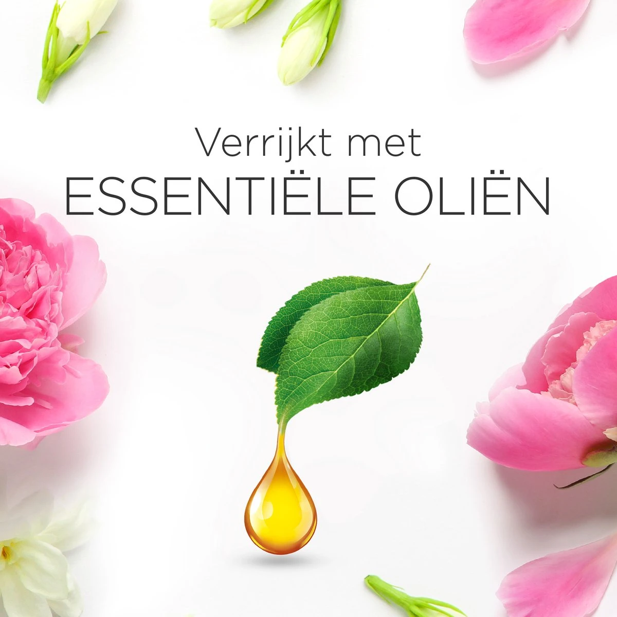 Air Wick Essential Mist Automatische Luchtverfrisser - Verfrissende Pioen en Jasmijn - 3 Navullingen Air Wick Essential Mist Automatische Luchtverfrisser - Verfrissende Pioen En Jasmijn - 3 Navullingen -Bol Schoonmaak Winkel 1200x1200 487