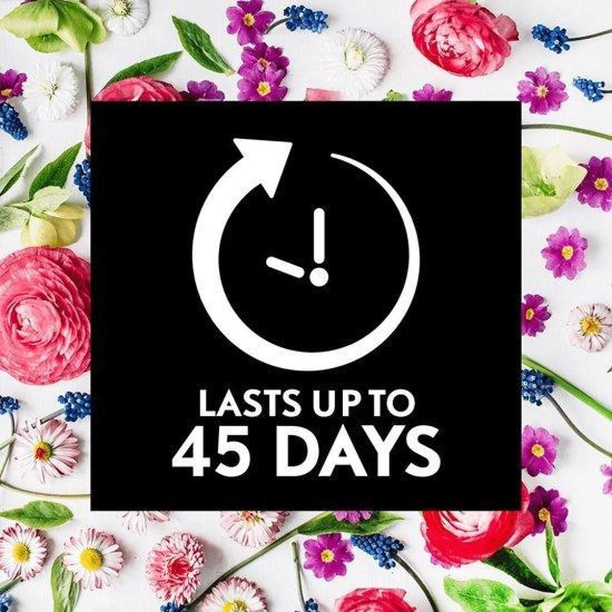 Air Wick Essential Mist Automatische Geurverspreider Luchtverfrisser - Innerlijke Rust - Navulling Air Wick Essential Mist Automatische Geurverspreider Luchtverfrisser - Innerlijke Rust - Navulling -Bol Schoonmaak Winkel 1200x1200 497