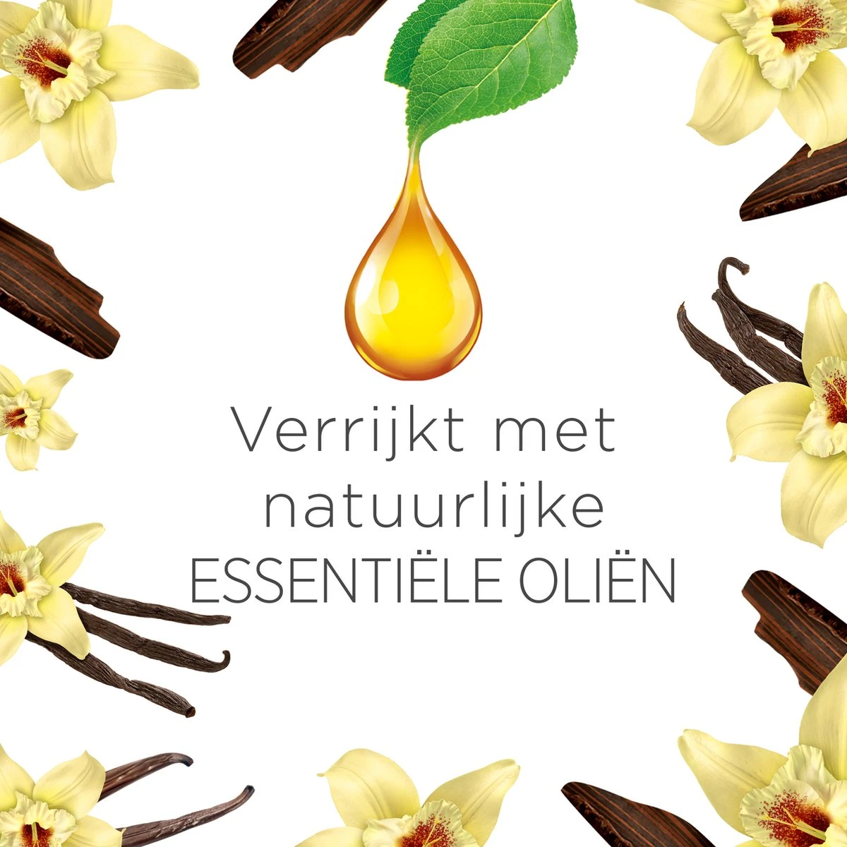 Air Wick Freshmatic Automatische Spray Luchtverfrisser - Ebbenhout & Vanille - 1 Apparaat + 2 Navullingen Air Wick Freshmatic Automatische Spray Luchtverfrisser - Ebbenhout & Vanille - 1 Apparaat + 2 Navullingen -Bol Schoonmaak Winkel 1200x1200 544