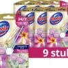Glorix Aroma Lux Pink Jasmine & Elderflower Toiletblokken - 9 Stuks - Voordeelverpakking 2 Glorix Aroma Lux Pink Jasmine & Elderflower Toiletblokken - 9 Stuks - Voordeelverpakking -Bol Schoonmaak Winkel 1200x892